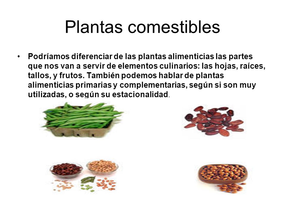 para que sirven las plantas comestibles